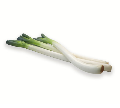 Fresh Green Onion