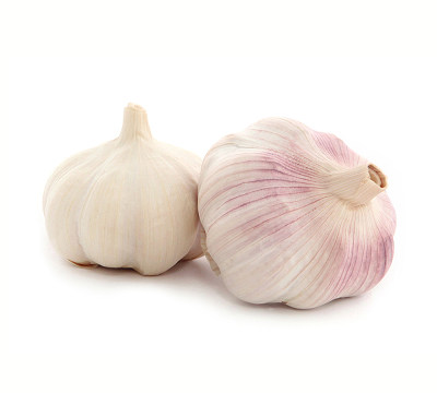 Fresh Garlic Bulbs