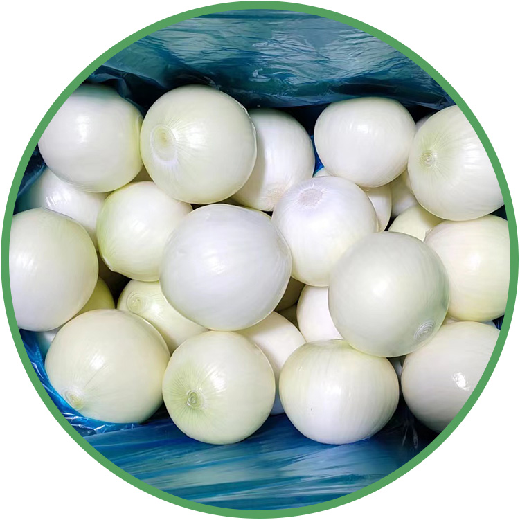 Peeled Yellow Onion