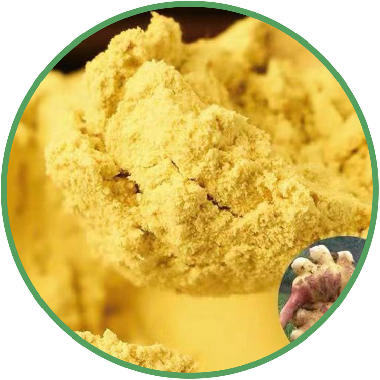 ginger powder.jpg