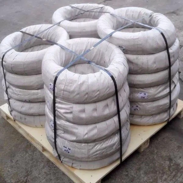 Stainless Steel Wires 04 3