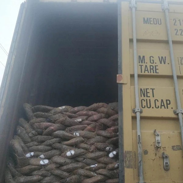 Black Annealed Wire 04 4