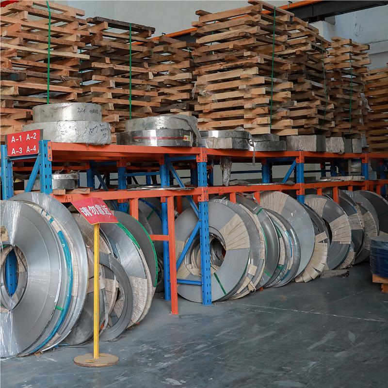 Stainless Steel Strip
