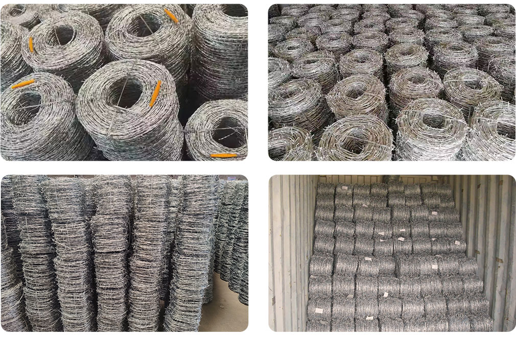 Galvanized Barbed Wire