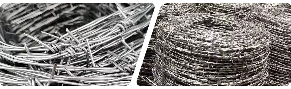 Galvanized Barbed Wire (2)