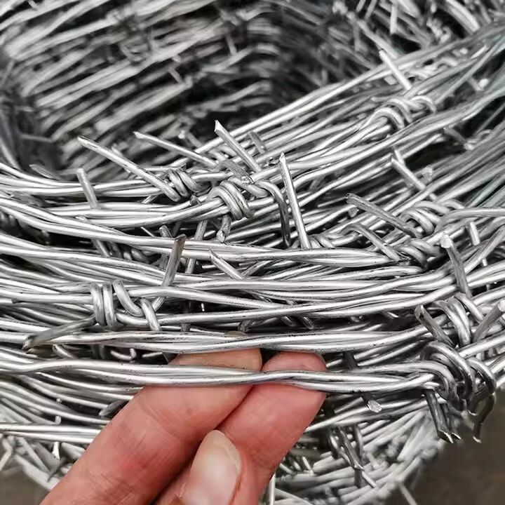 Double Strand Galvanized Barbed Wire