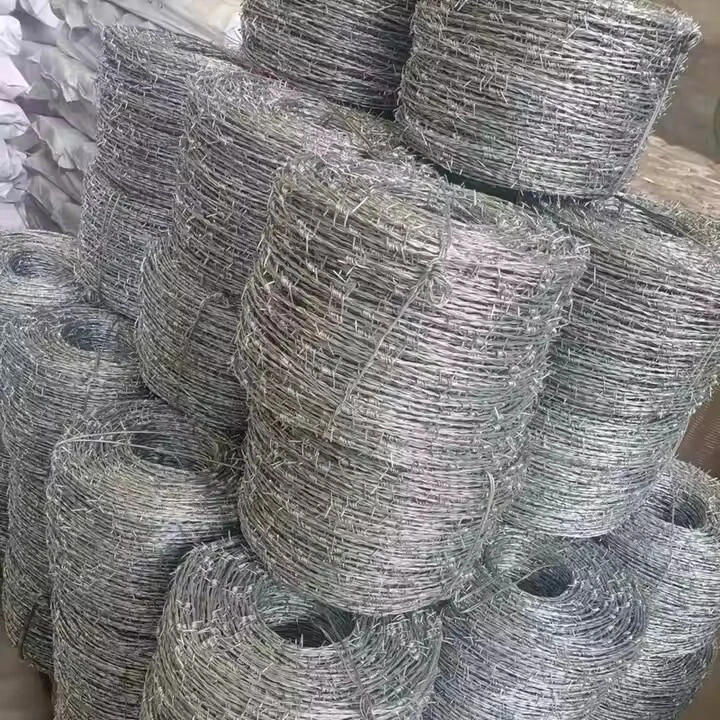 Double Strand Galvanized Barbed Wire