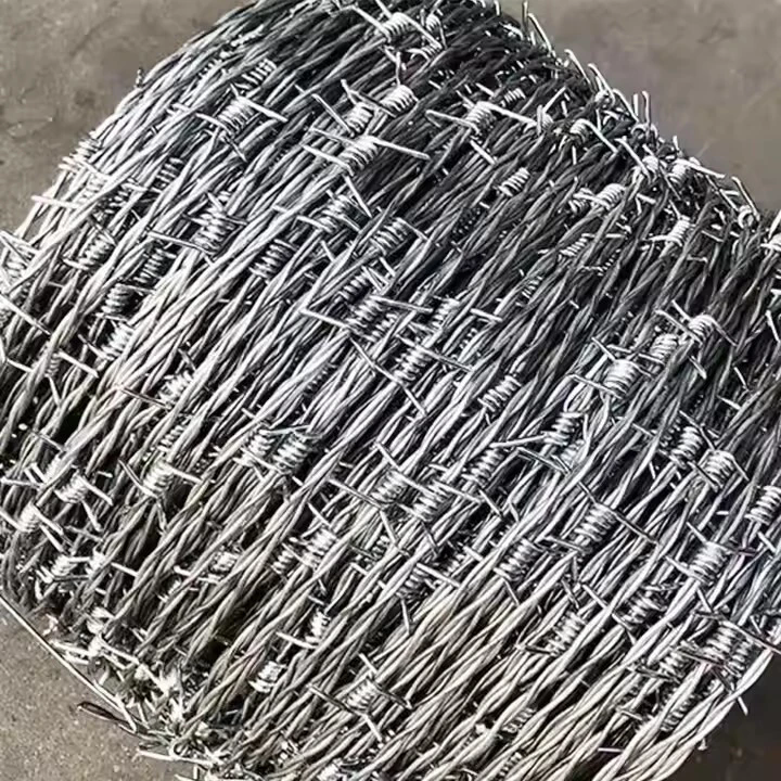 Double Strand Galvanized Barbed Wire