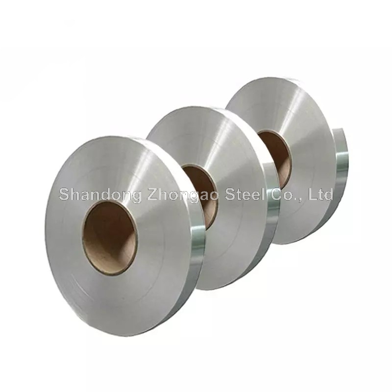 Stainless Steel Strip
