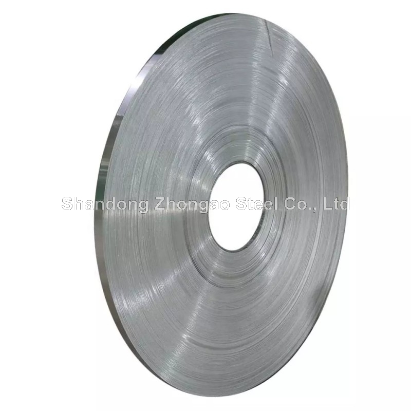 Stainless Steel Strip