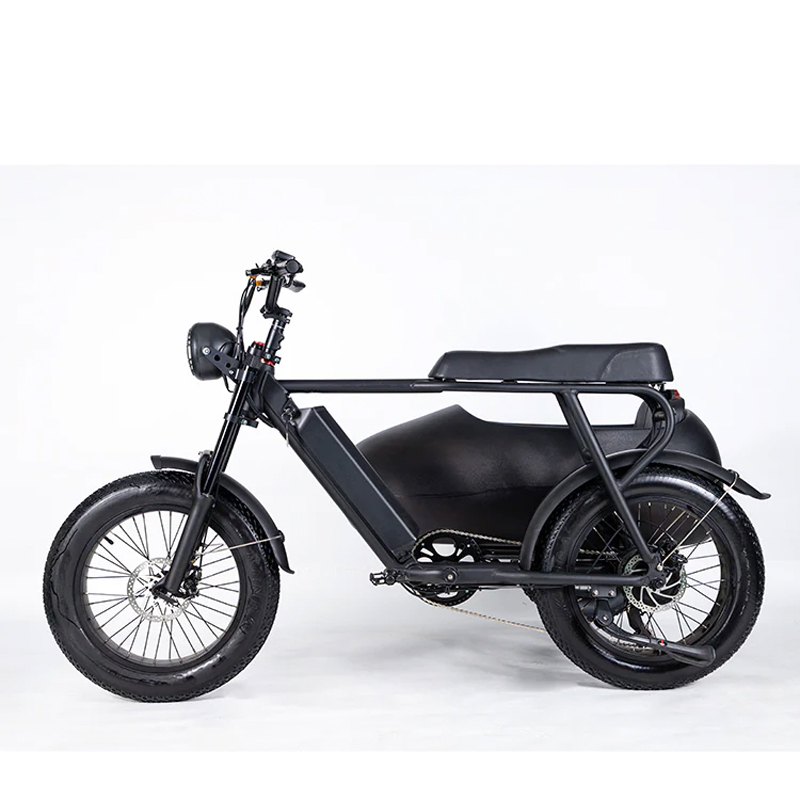 SoverSky TS75-4815 Electric Sidecar Bike 750w Motor with Lithium Battery 