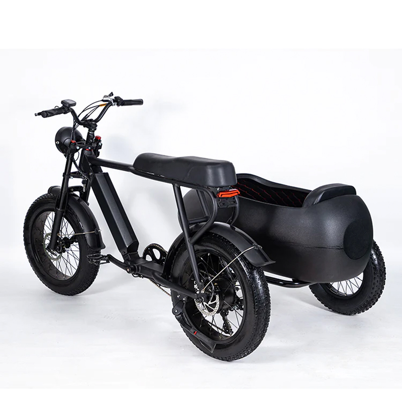 SoverSky TS75-4815 Electric Sidecar Bike 750w Motor with Lithium Battery 