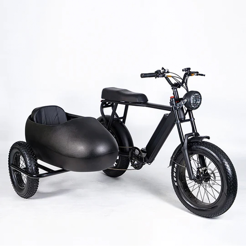 SoverSky TS75-4815 Electric Sidecar Bike 750w Motor with Lithium Battery 