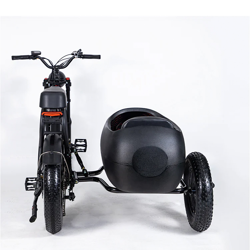 SoverSky TS75-4815 Electric Sidecar Bike 750w Motor with Lithium Battery 