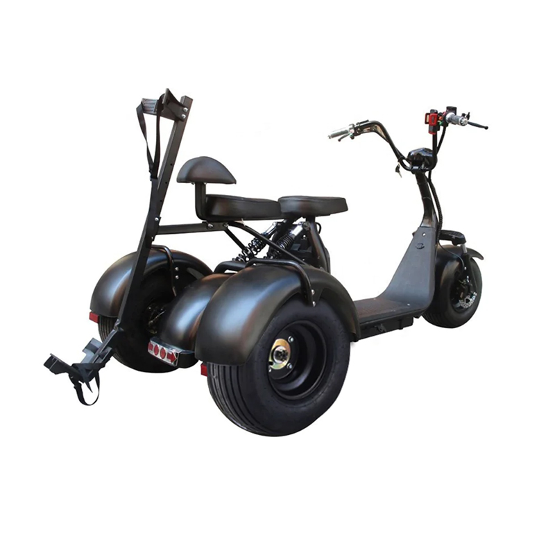 SoverSky T7.0 Electric Adult Trike with Removable Lithium Battery
