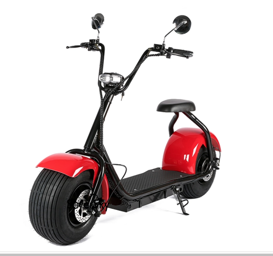 SoverSky SL01 Citycoco Fat Tire 2000w Scooter 