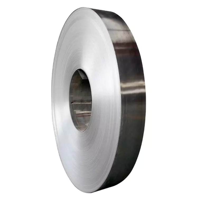 Stainless Steel Strip