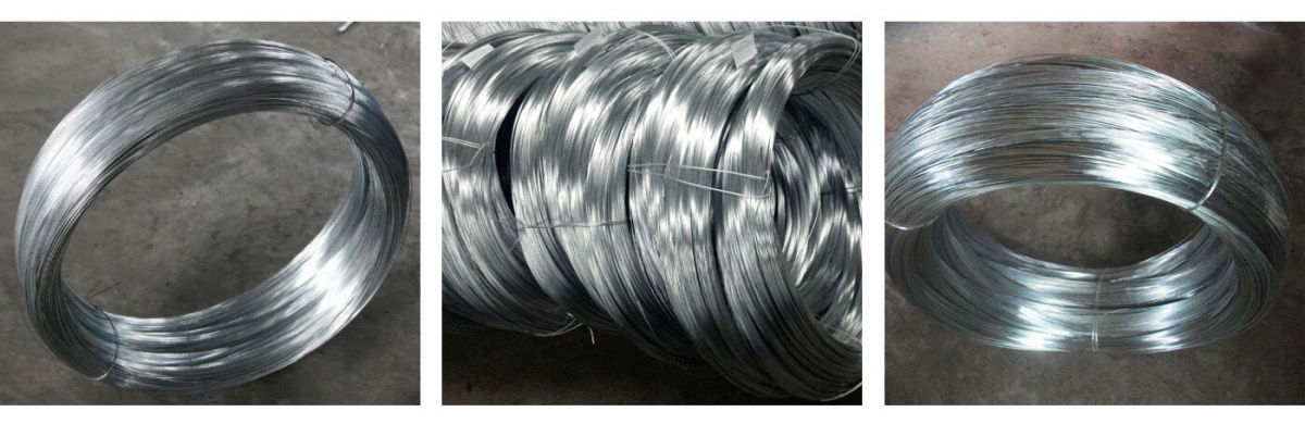 Galvanized Steel Wire.jpg