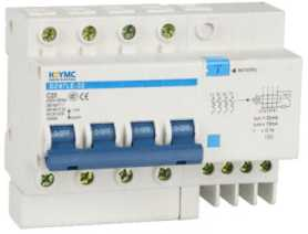 DZ47LE-63 Residual Current Operated Circuit Breaker With Over-current Protection