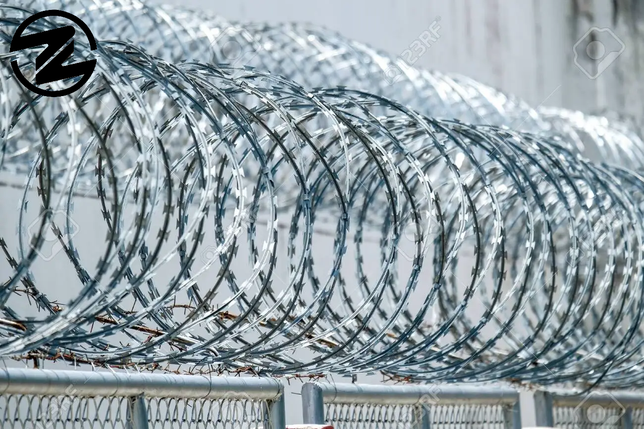 Barbed Wire Mesh From Shandong Supplier
