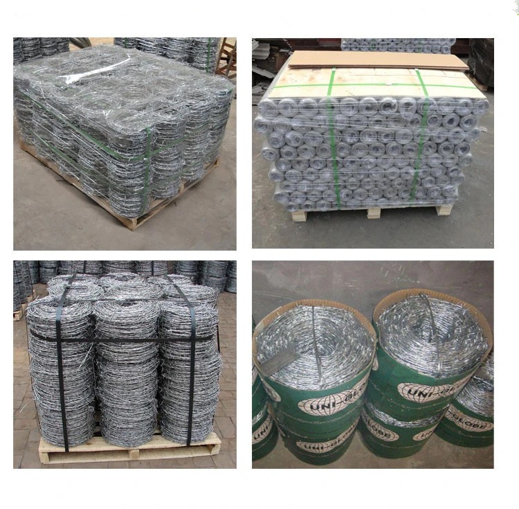 Barbed Wire Mesh From Guangzhou Supplier