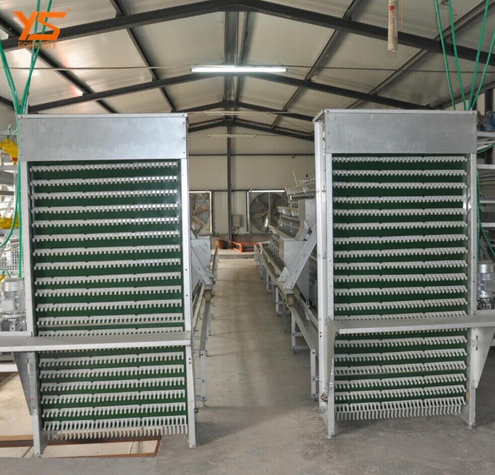 Why you need electric cage for chicken preventing the chickens from wandering outside the designated area and potentially getting lost or exposed to danger