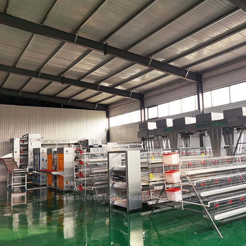 Popular model of a type cage system is highly scalable allows for maximum use of space and increased bird capacity