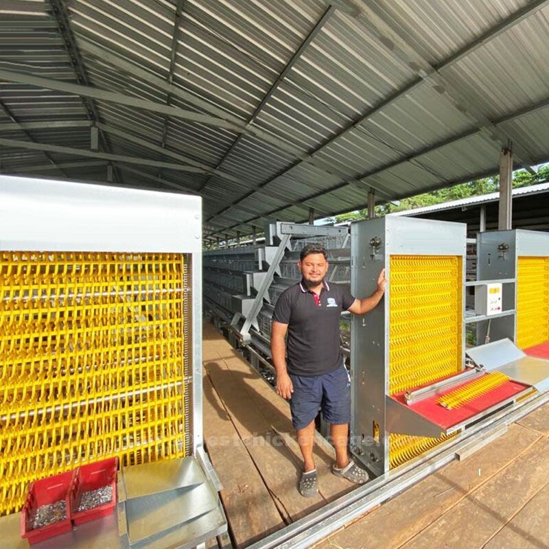 How to become a poultry farmer develop a business plan outlining your goals target market production methods and financial projections