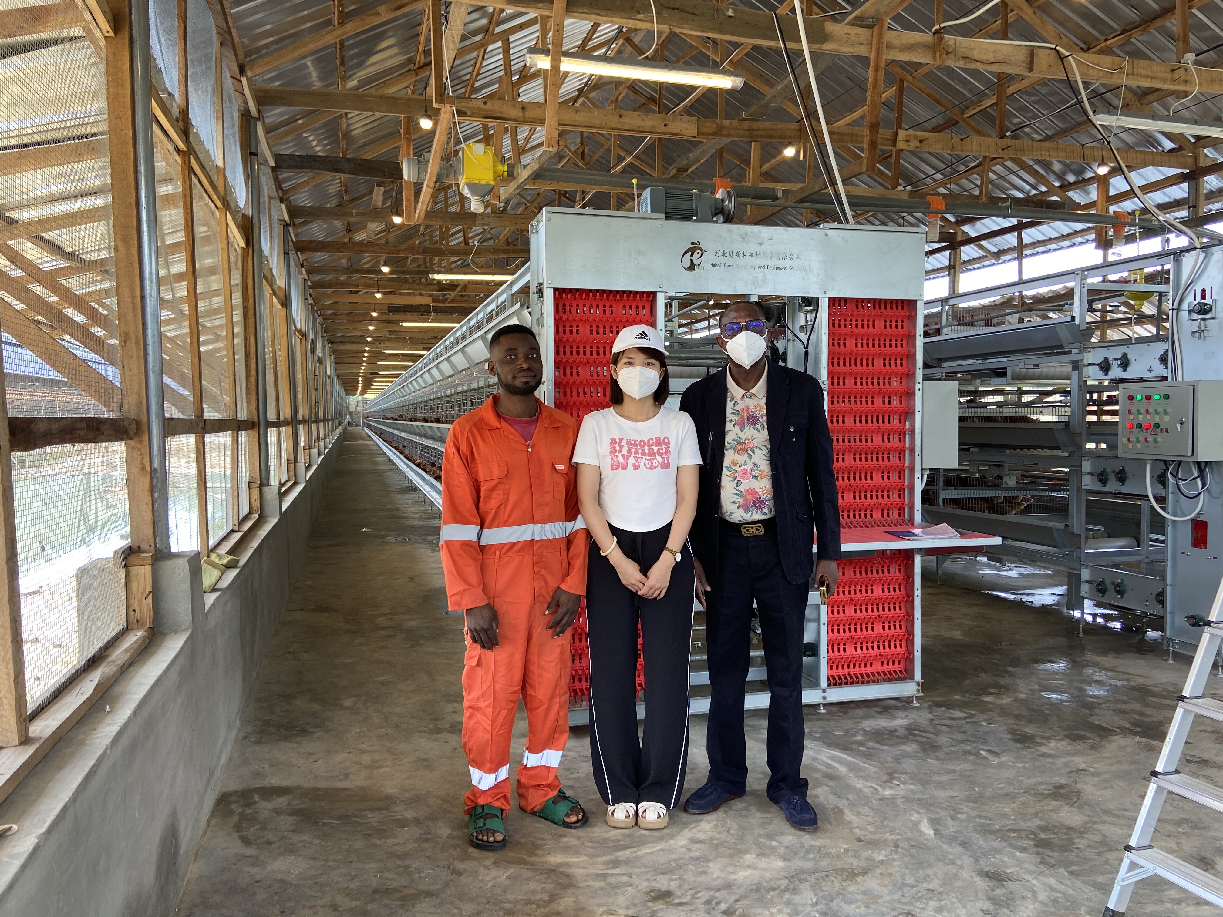 Automatic H-type broiler cages for sale in Nigeria are made of galvanized steel or stainless steel allowing for maximum space efficiency