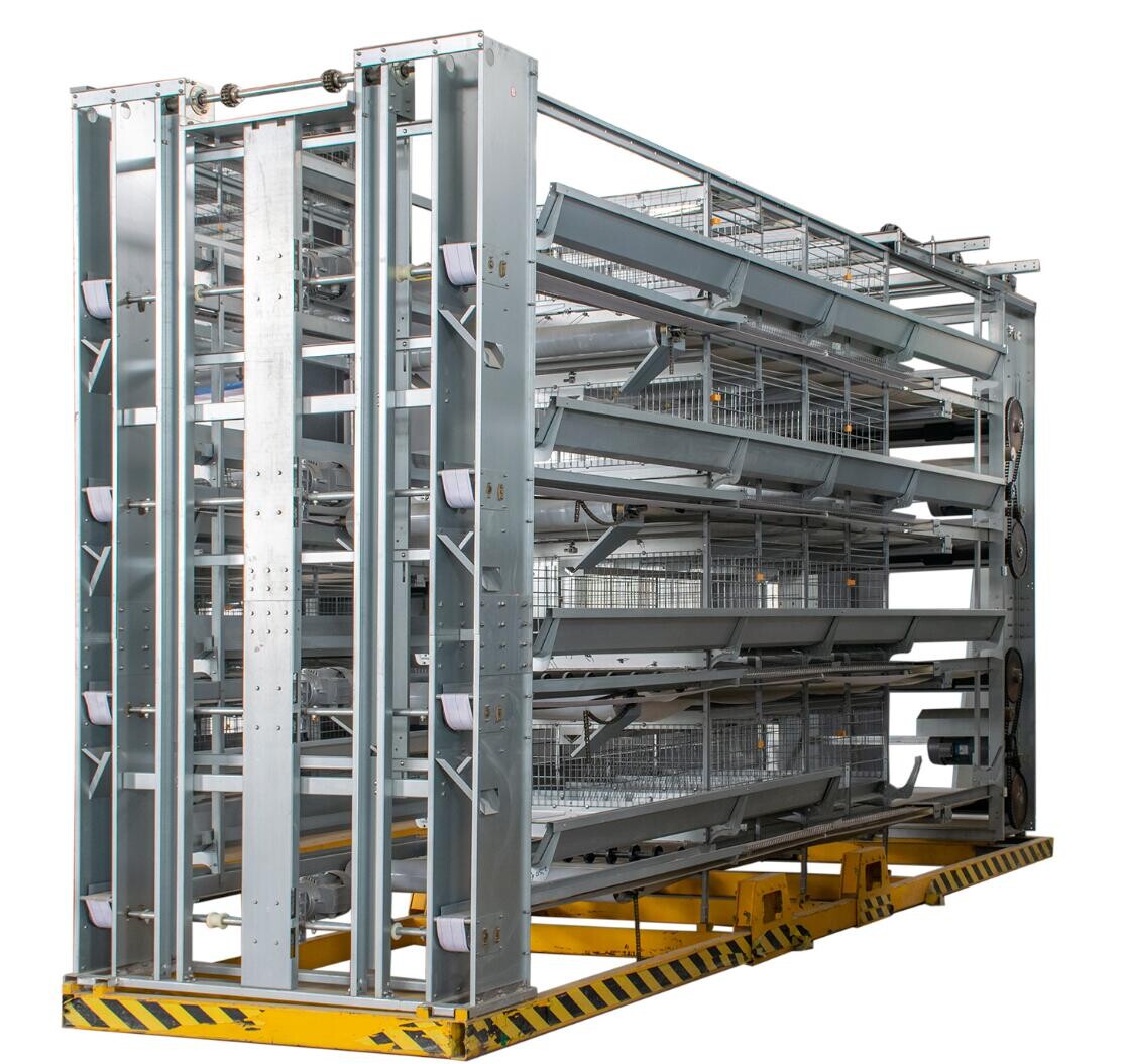 Why does an automatic chicken feeding system enhance overall poultry health through precise feed distribution and scheduling