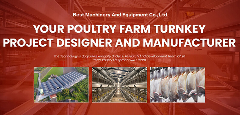 Looking to manage a farm with 20,000 chickens investing in efficient and automated poultry cages is vital for ensuring optimal productivity