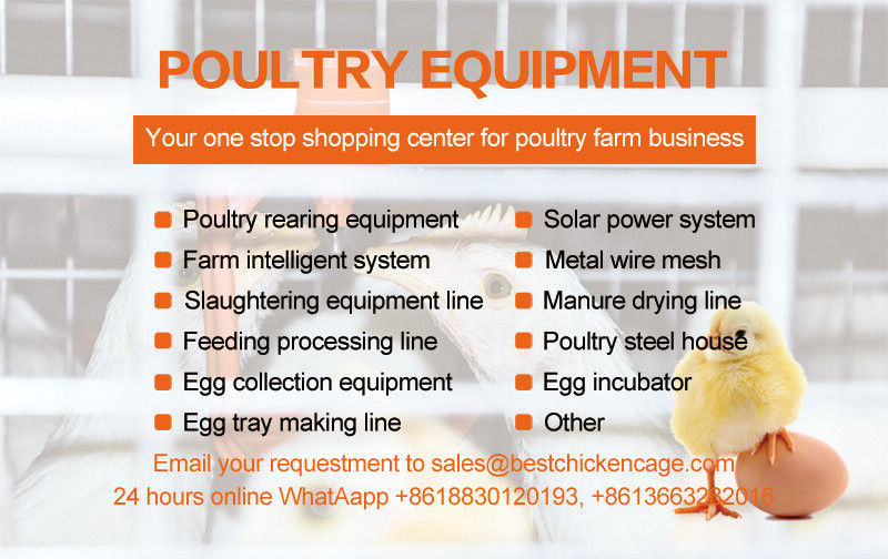 The h type layer chicken cage‌ revolutionizes intensive egg farming through its innovative and compact design