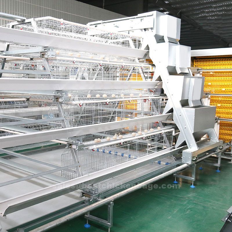 New style of a-type layer battery cage system is recognized for its cost-effectiveness and ease of maintenance