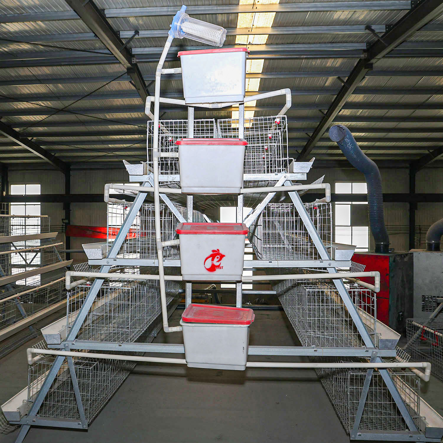 What key labor related differences exist between the a type manual layer cage system and automated alternatives