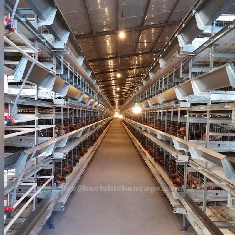 The h type layer chicken cage‌ revolutionizes intensive egg farming through its innovative and compact design