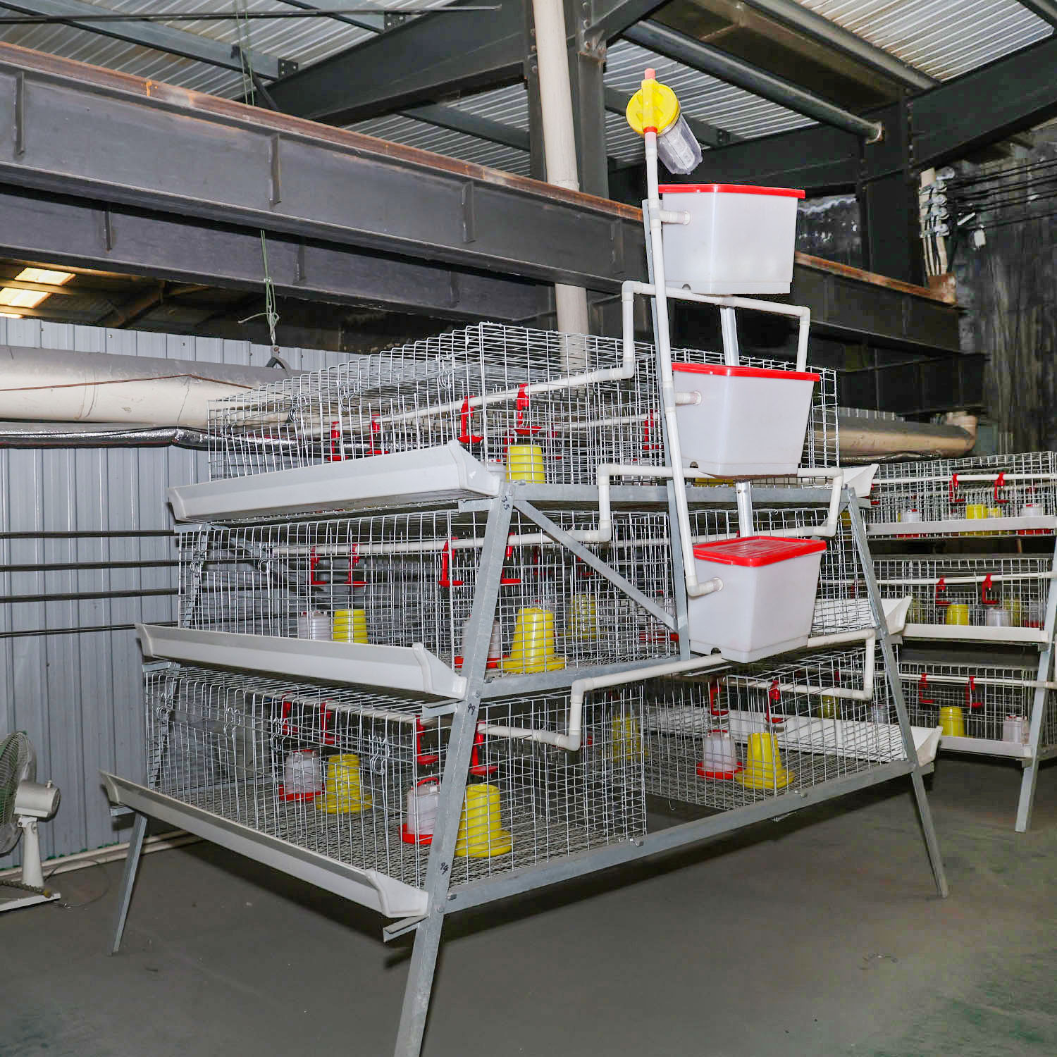 Automatic poultry farming systems and broiler battery cage are technological solutions engineered to enhance productivity and livestock webeing in poultry cultivation