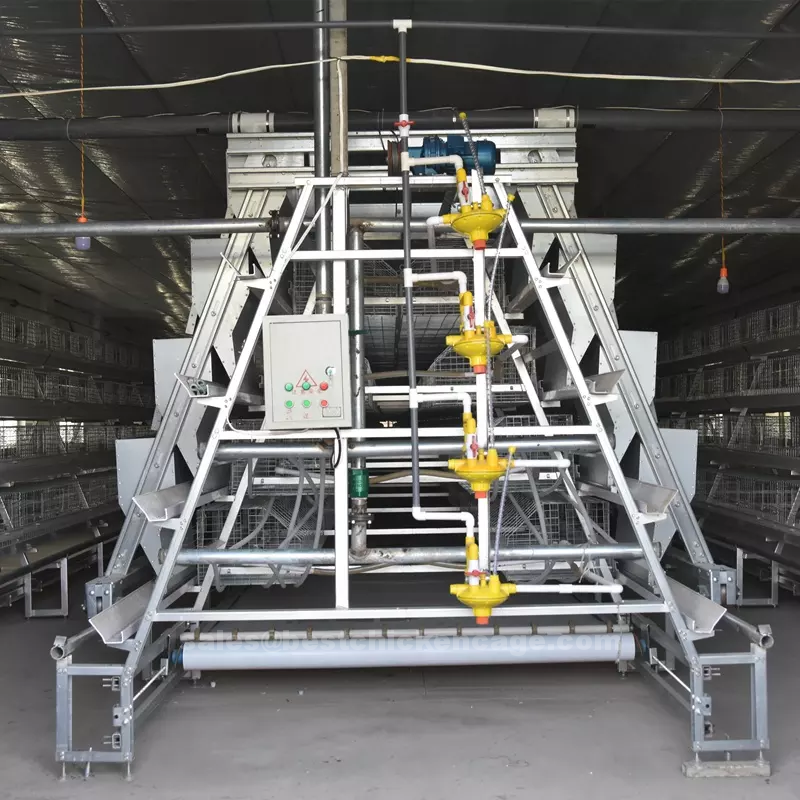 What are the advantages of using an A type chicken layer battery cage system