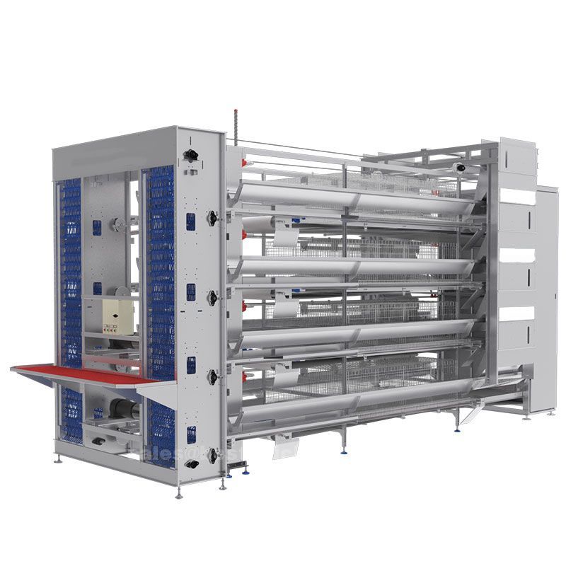 What are the significant advantages of the  H frame pullet poultry automation system