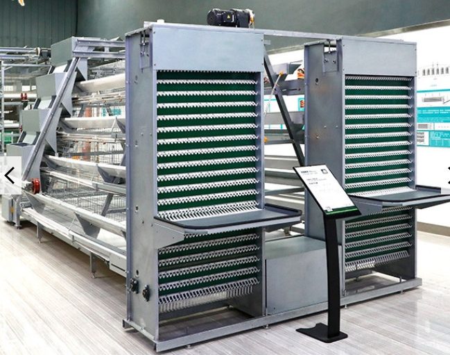 A type chicken layer cages are specialized poultry housing structures optimized for egg laying hens
