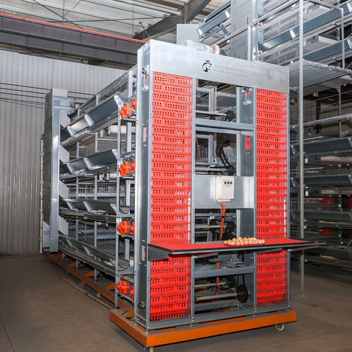 poultry cage systems incorporate automated feeding and watering and egg collection to optimize poultry operations