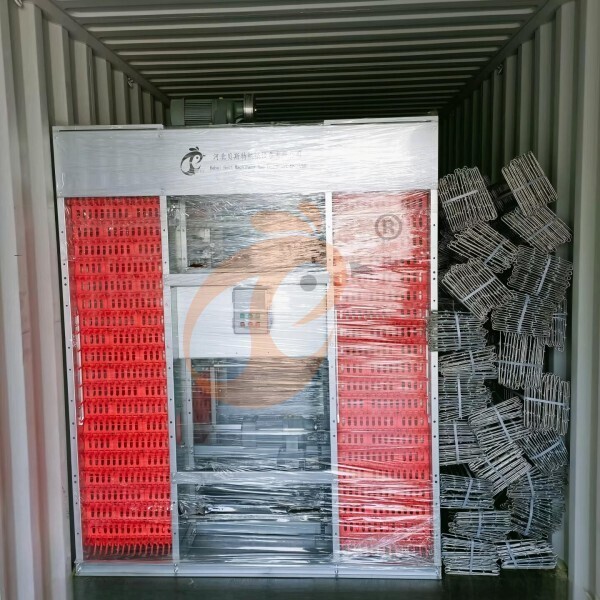 poultry equipment package and loading (3)