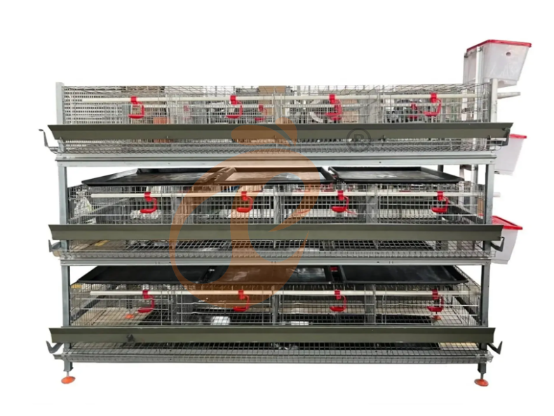 Semi Automatic H Frame Young Layer Chicken Cage For Sale