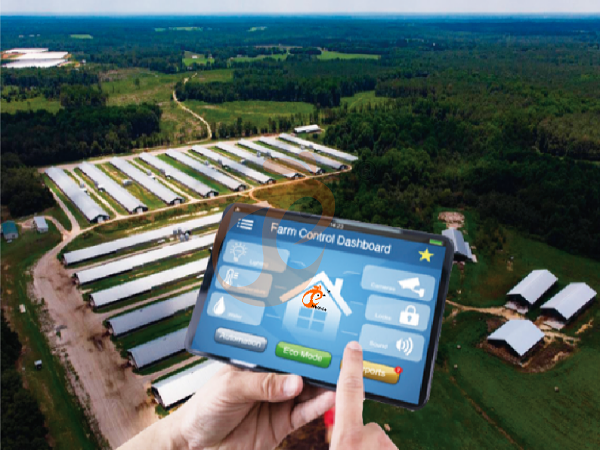 AI management poultry farm (1)