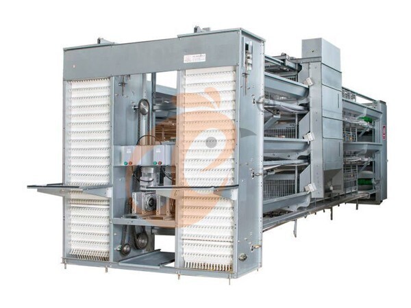 Automatic H Frame Layer Chicken Cage For Sale