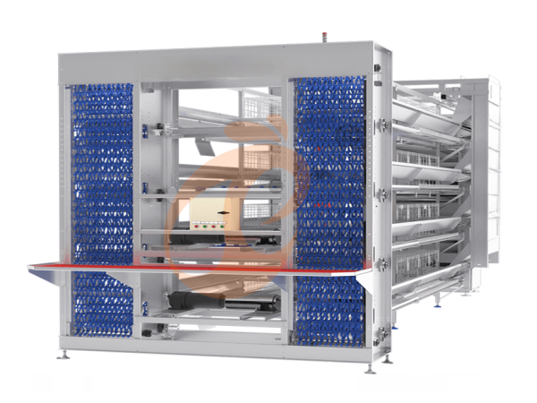 5 Smart Ways To Improve Poultry Farm Efficiency And Profitability