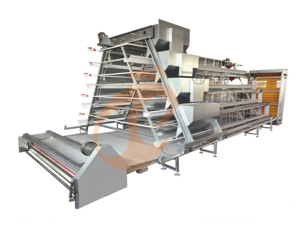 Tanzania Poultry Farm Investment: Startup Cost, Expansion, 6 ROI Tips