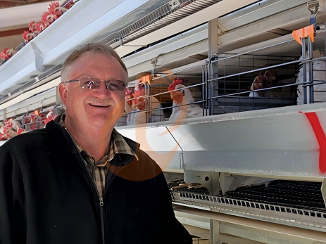 Automatic Poultry House For Small & Large Farms: Cut Labor By 40%