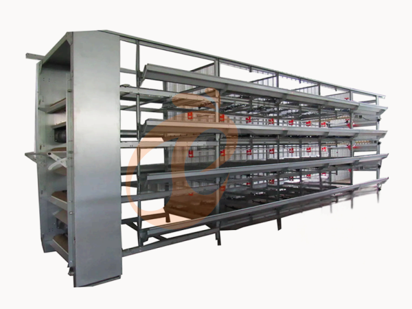Imported Vs Local H Type Chicken Battery Cages: Which Offers Better Quality? Imported Vs Local H Type Chicken Battery Cages: Which Offers Better Quality?