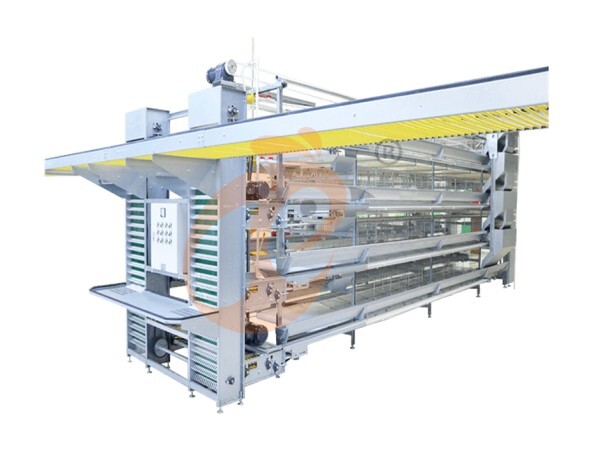 How Automatic Feeding Enhances H Type Chicken Cage Performance?