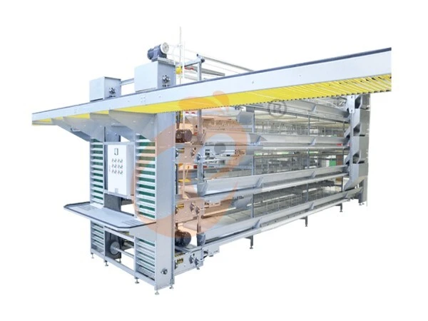 How Automatic Feeding Enhances H Type Chicken Cage Performance?